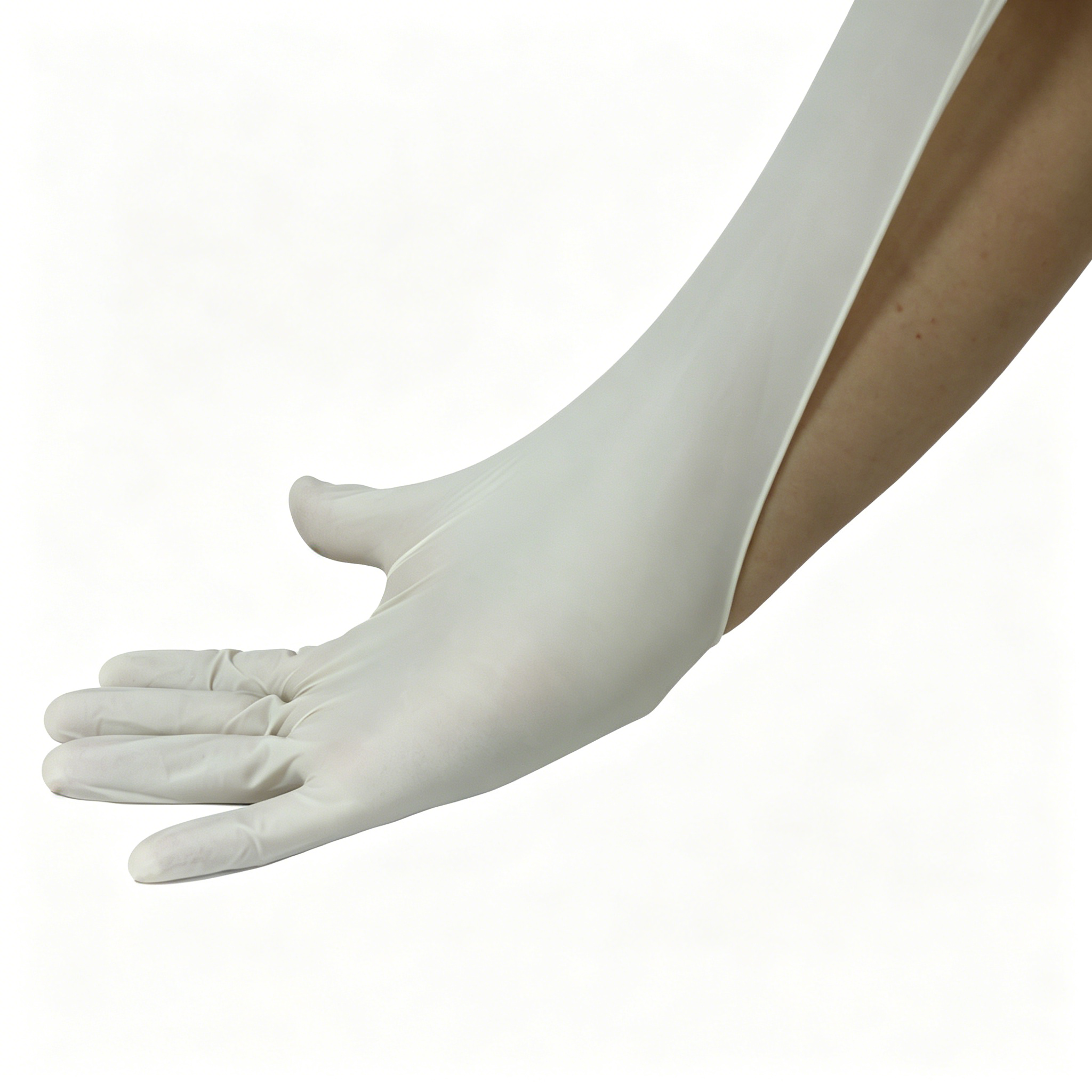 Disposable medical rubber exam - Latex Disposable Glove reseña y precio